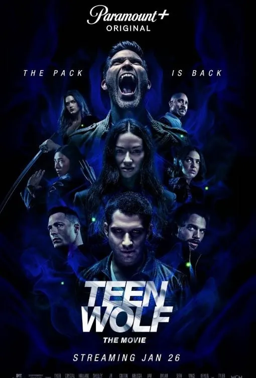 IPTV movie poster preview image 7